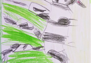 biało- czarny kot z pazurkami i widocznymi zębami na zielonym tle